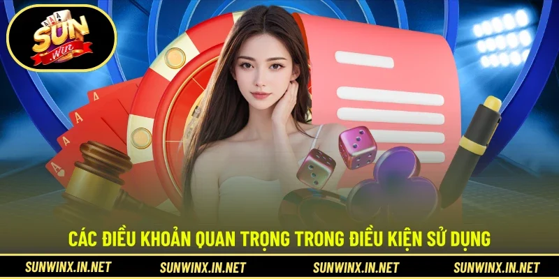 Các điều khoản quan trọng trong điều kiện sử dụng
