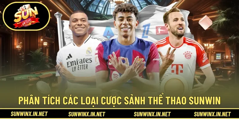 Phân tích các loại cược trong sảnh Thể Thao Sunwin