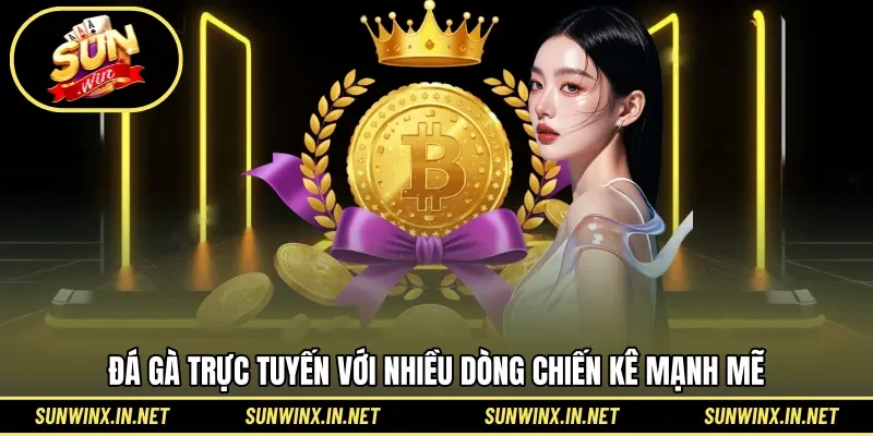 Đá gà trực tuyến với nhiều dòng chiến kê mạnh mẽ